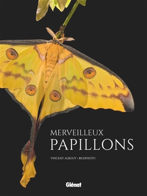 Merveilleux papillons - Vincent Albouy