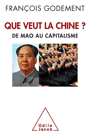 Que veut la Chine ? : de Mao au capitalisme - François Godement