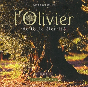 L'olivier de toute éternité - Dominique Bottani