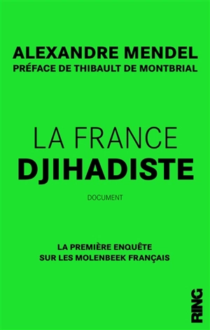 La France djihadiste : la première enquête sur les Molenbeek français : document - Alexandre Mendel