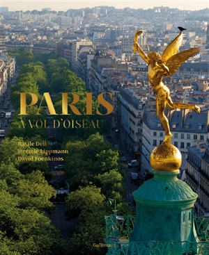 Paris à vol d'oiseau - Basile Dell