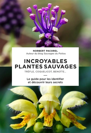 Incroyables plantes sauvages : trèfle, coquelicot, benoîte... : le guide pour les identifier et découvrir leurs secrets - Norbert Pacorel