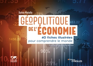 Géopolitique de l'économie : 40 fiches illustrées pour comprendre le monde - Sylvie Matelly