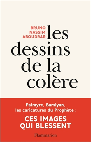 Les dessins de la colère - Bruno-Nassim Aboudrar