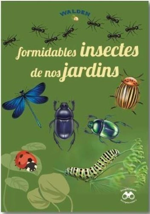 Formidables insectes de nos jardins - Martine Baurain