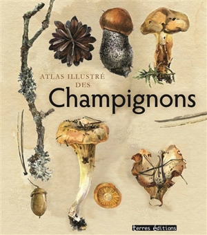 Atlas illustré des champignons