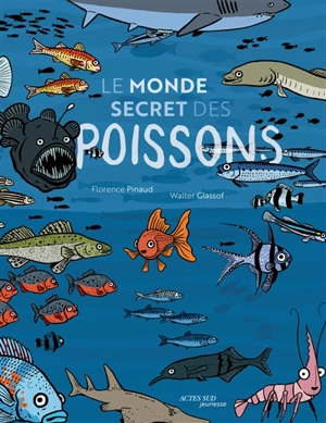 Le monde secret des poissons - Florence Pinaud