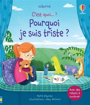 Pourquoi je suis triste ? - Katie Daynes