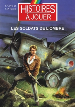 Les soldats de l'ombre - Fabrice Cayla