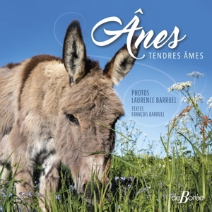 Anes : tendres âmes - Laurence Lager Barruel