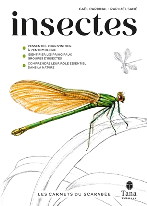 Insectes - Gaël Cardinal