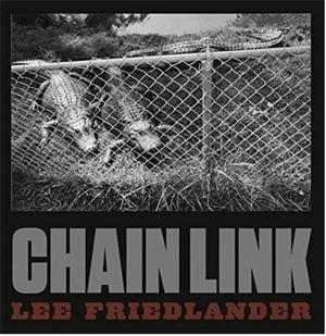 Lee Friedlander Chain Link - Lee Friedlander