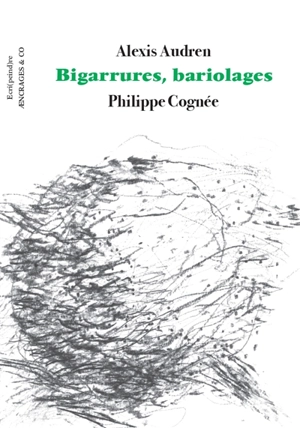 Bigarrures, bariolages - Alexis Audren