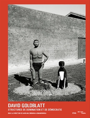 David Goldblatt, structures de domination et de démocratie