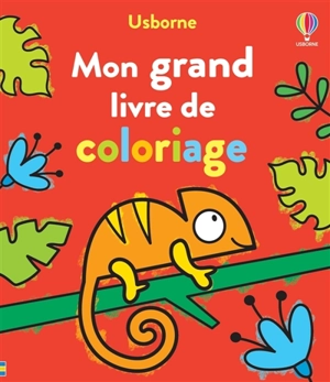 Mon grand livre de coloriage - Nolan, Kate