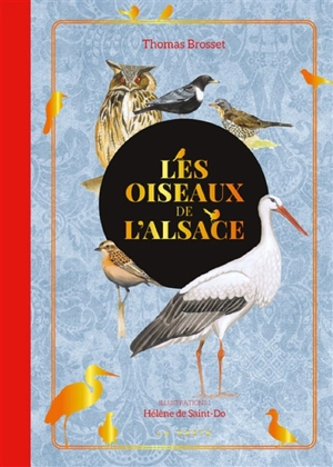 Les oiseaux de l'Alsace - Thomas Brosset