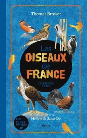 Les rares oiseaux de France - Thomas Brosset