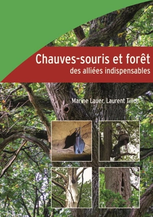 Chauves-souris et forêt, des alliées indispensables - Marine Lauer