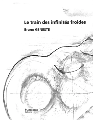 Le train des infinités froides - Bruno Geneste