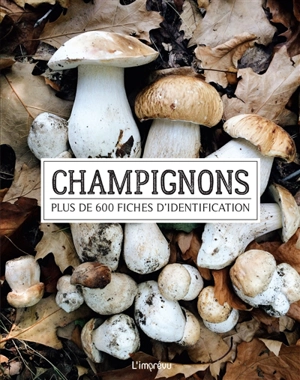 Champignons : plus de 600 fiches d'identification - Till Reinhard Lohmeyer