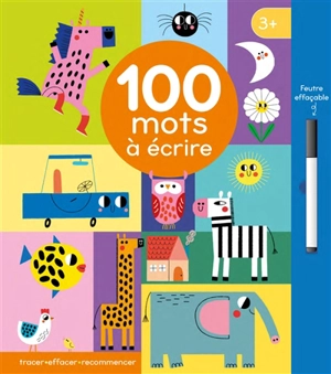 100 mots à écrire : tracer, effacer, recommencer - Teresa Bellon