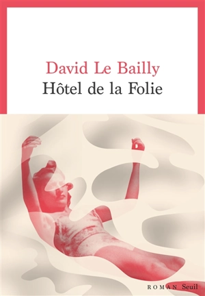 Hôtel de la folie - David Le Bailly