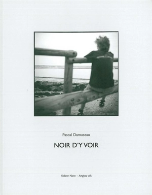 Noir d'y voir - Pascal Damuseau