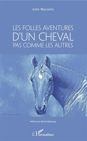 Les folles aventures d'un cheval pas comme les autres - Julie Wasselin