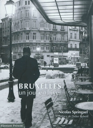 Bruxelles : un jour en hiver - Nicolas Springael