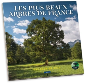 Marque-page calendrier 2024 Les arbres enchantés