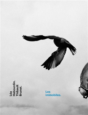 Les immobiles : carte blanche PMU 2014 - Léa Habourdin