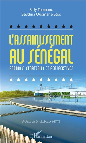 L'assainissement au Sénégal : progrès, stratégies et perspectives - Sidy Tounkara