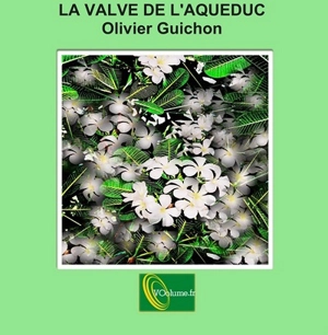 La valve de l'aqueduc - Olivier Guichon