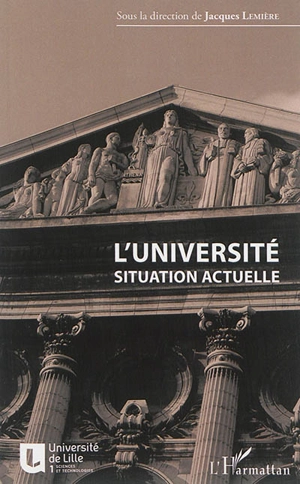 L'université : situation actuelle