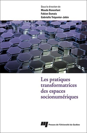 Les pratiques transformatrices des espaces socionumériques