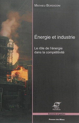 Energie et industrie : le rôle de l'énergie dans la compétitivité - Mathieu Bordigoni