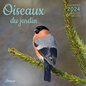Oiseaux du jardin : calendrier 2024 : de septembre 2023 à décembre 2024