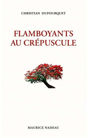 Flamboyants au crépuscule - Christian Dufourquet