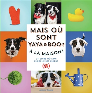 Mais où est Momo ?. Mais où sont Yaya & Boo ? : à la maison ! : un livre où l'on cherche ses chiens - Andrew Knapp