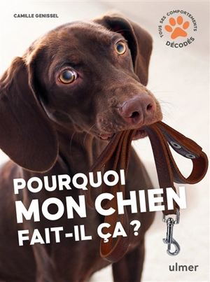 Pourquoi mon chien fait-il ça ? : tous ses comportements décodés - Camille Genissel