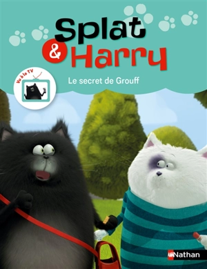 Splat & Harry. Vol. 7. Le secret de Grouff - Ségolène Basso Brusa