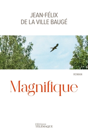 Magnifique - Jean-Félix de La Ville Baugé