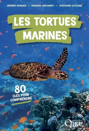 Les tortues marines : 80 clés pour comprendre - Jérôme Bourjea