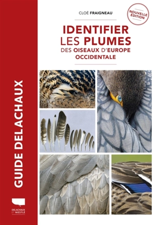 Identifier les plumes des oiseaux d'Europe occidentale - Cloé Fraigneau