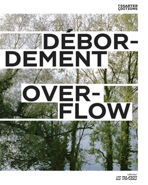 Débordement. Overflow - Alice Lognonné