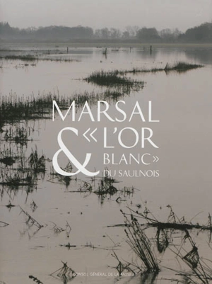 Marsal & l'or blanc du Saulnois : le Musée départemental du sel de Marsal - Philippe Hoch