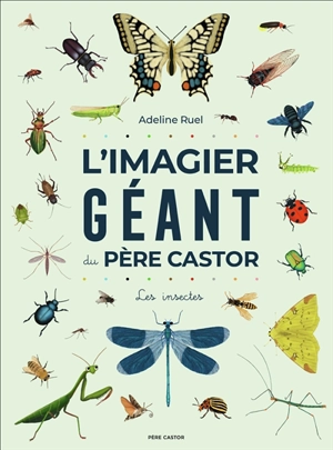 L'imagier géant du Père Castor : les insectes - Adeline Ruel
