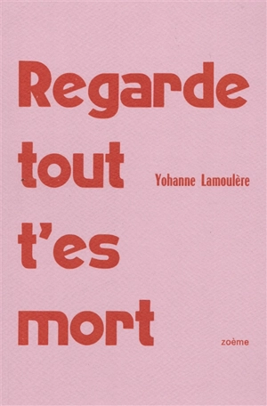 Regarde tout, t'es mort - Yohanne Lamoulère