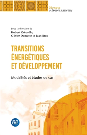 Transitions énergétiques et développement : modalités et études de cas