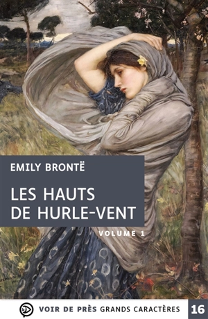 Les hauts de Hurle-Vent - Emily Brontë